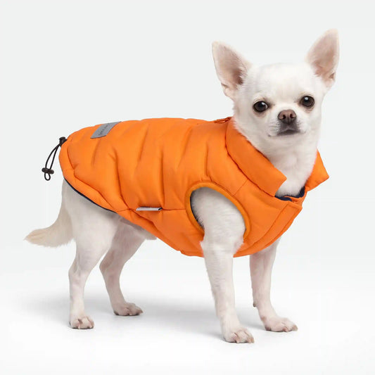 ThermoSonic Winter Jackets