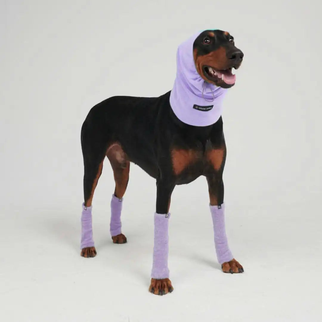 sparkpawsmaut.com