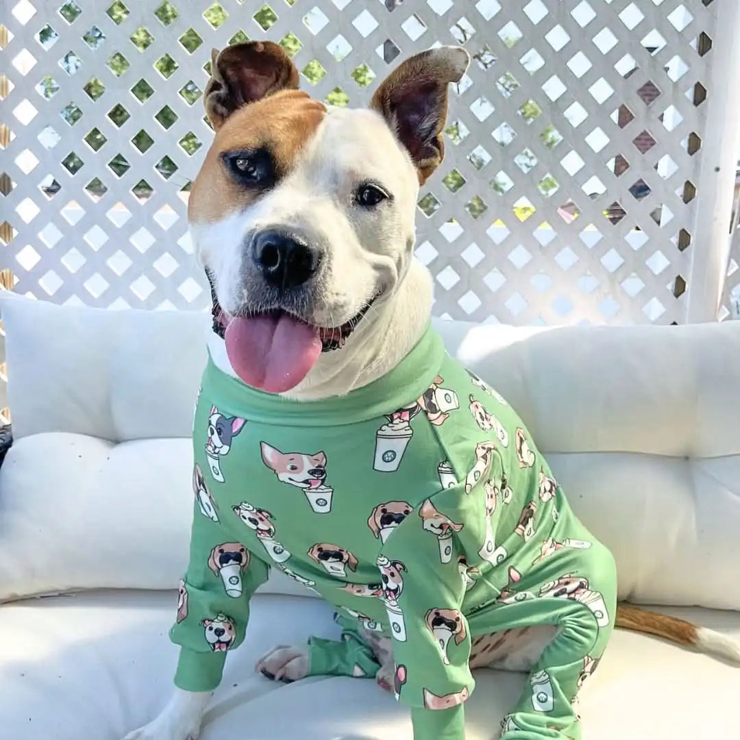 sparkpawsmaut.com