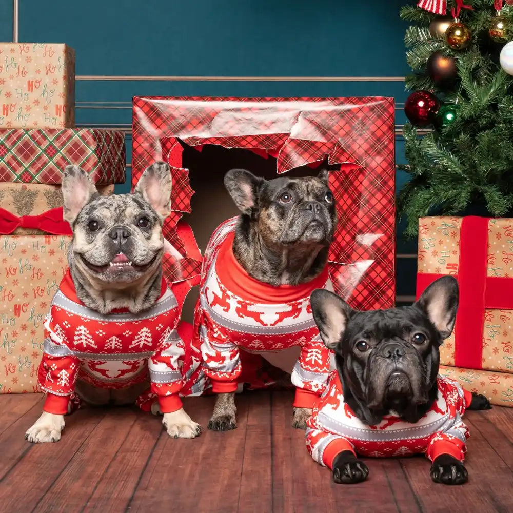 sparkpawsmaut.com