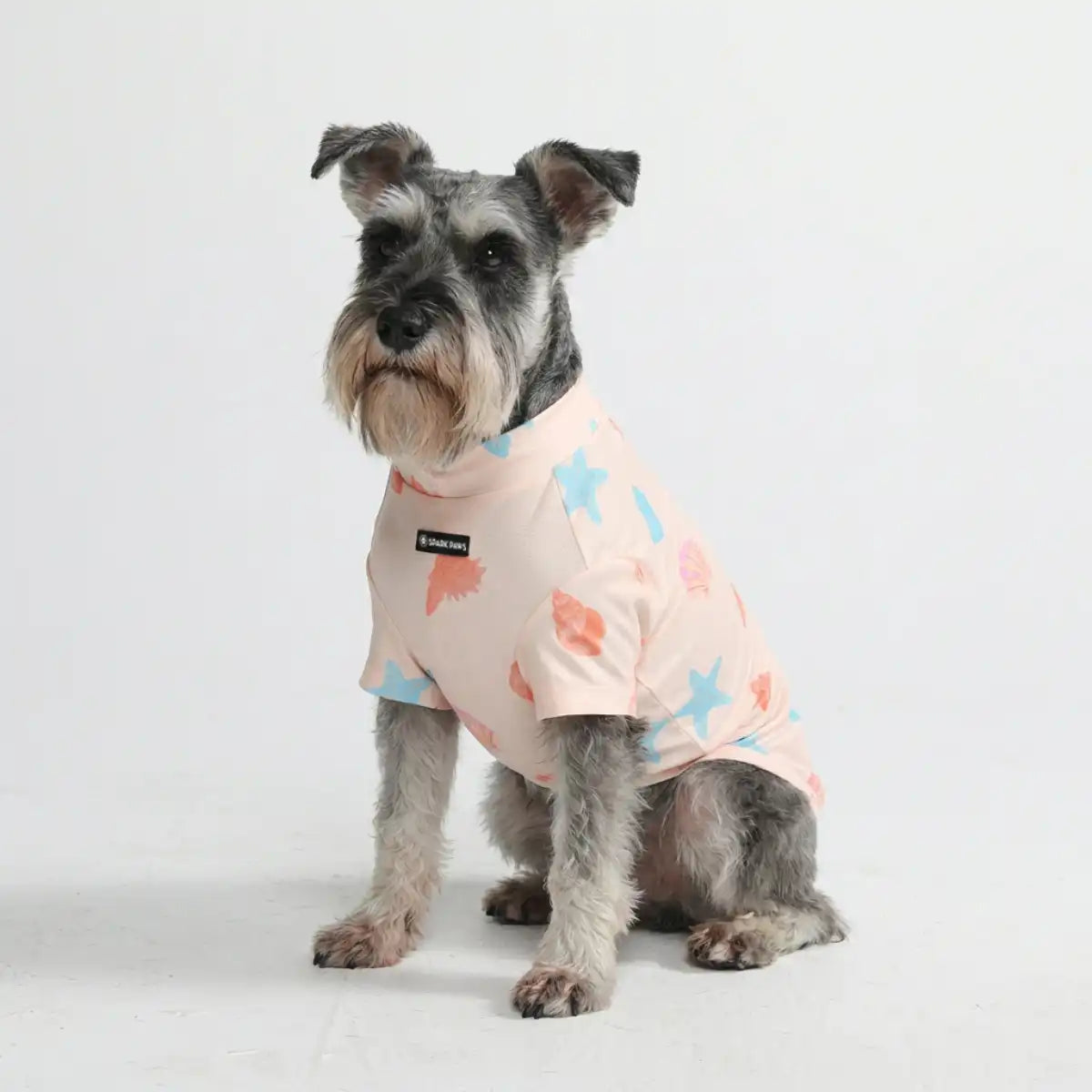 sparkpawsmaut.com