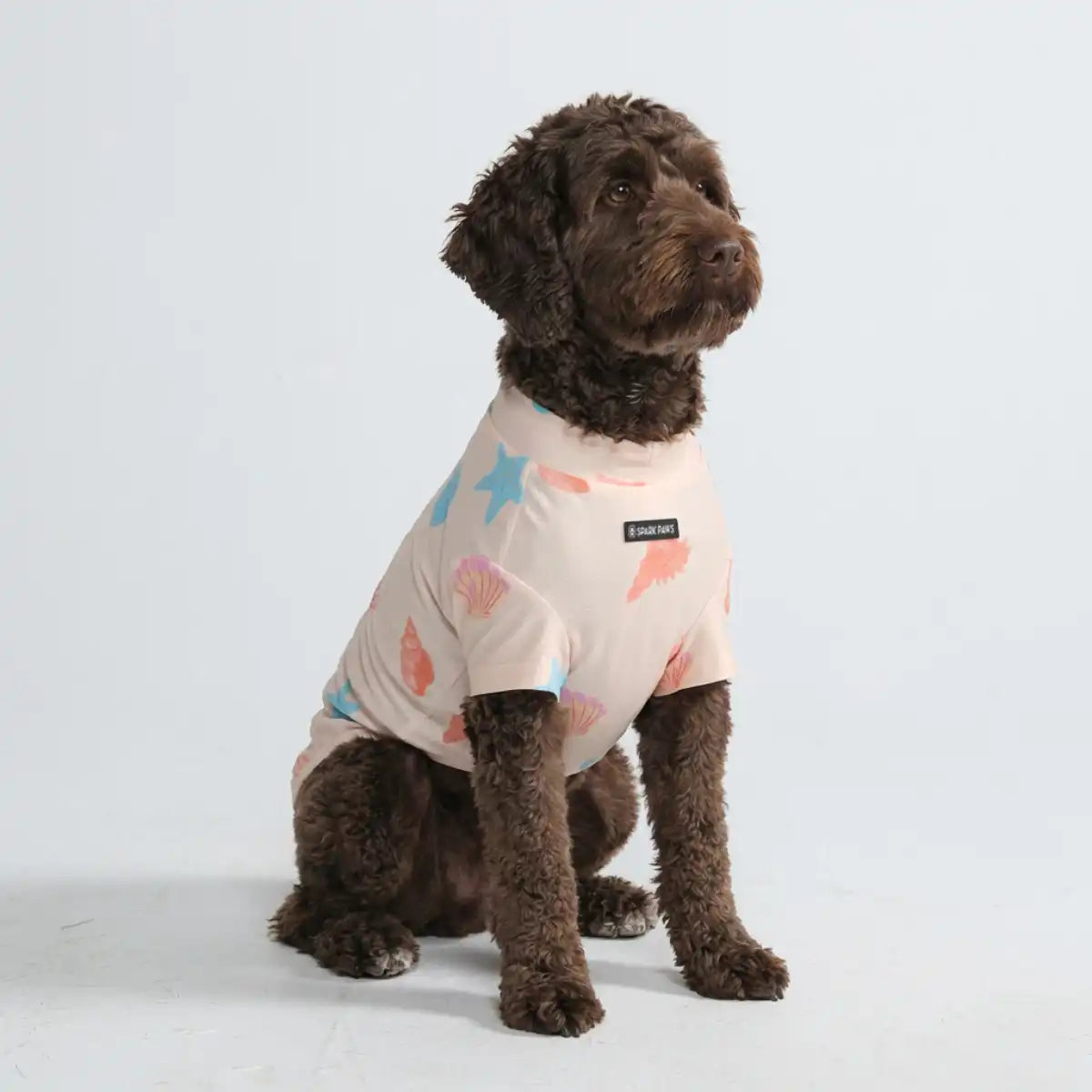 sparkpawsmaut.com