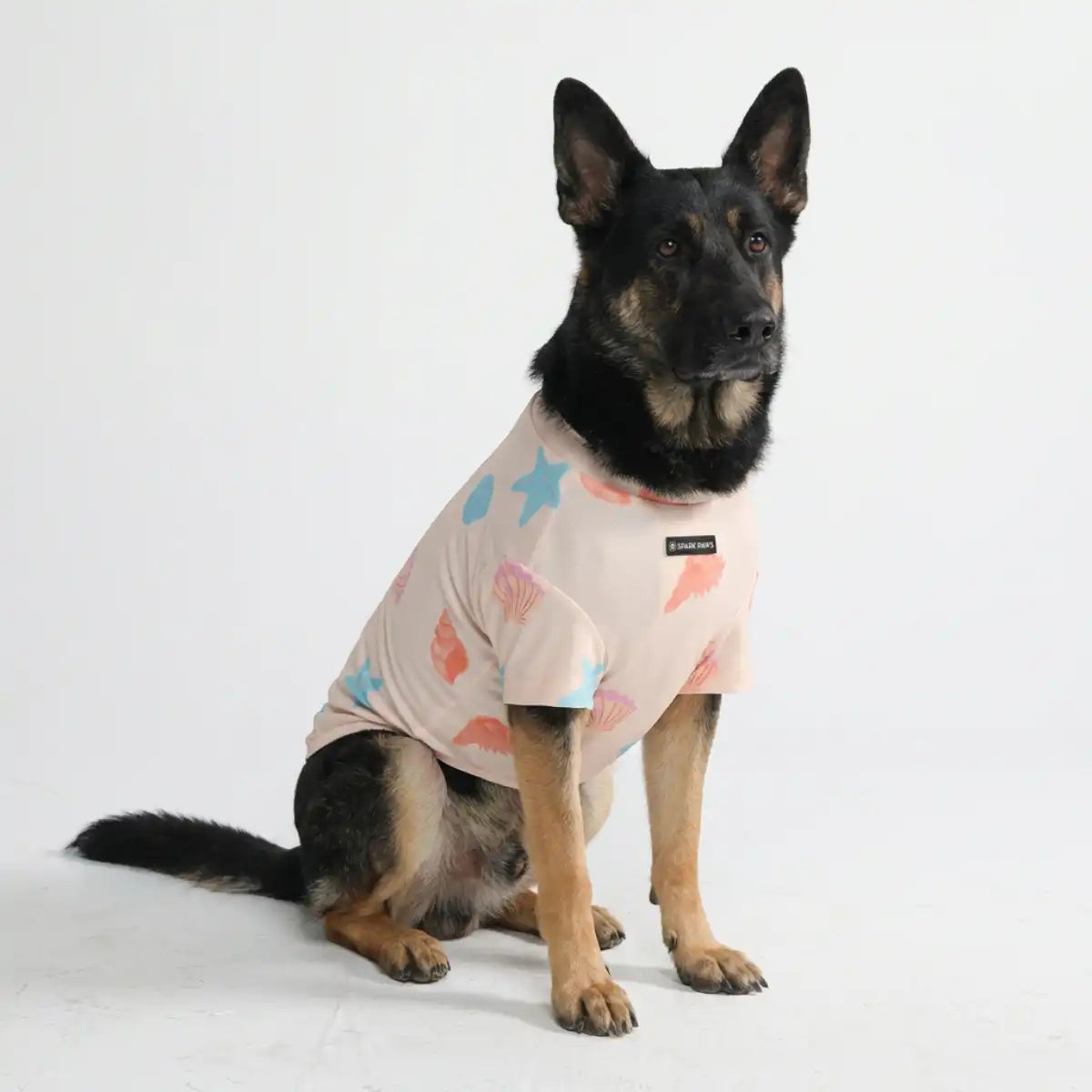 sparkpawsmaut.com