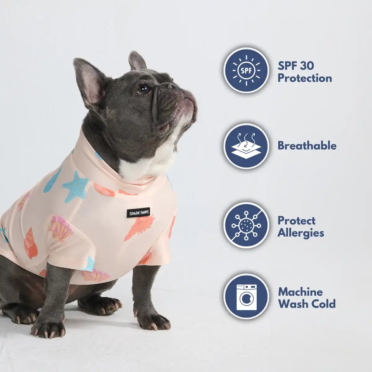 sparkpawsmaut.com