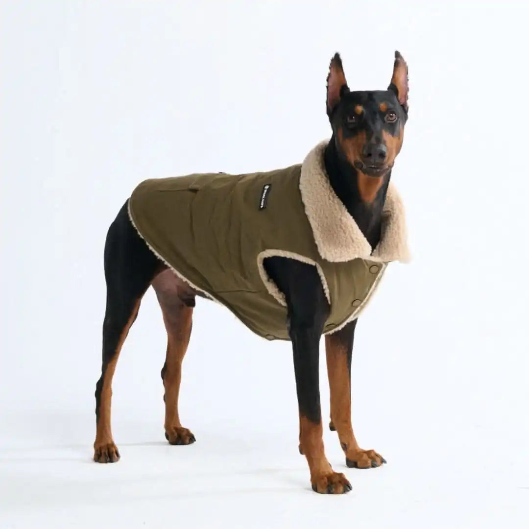 sparkpawsmaut.com