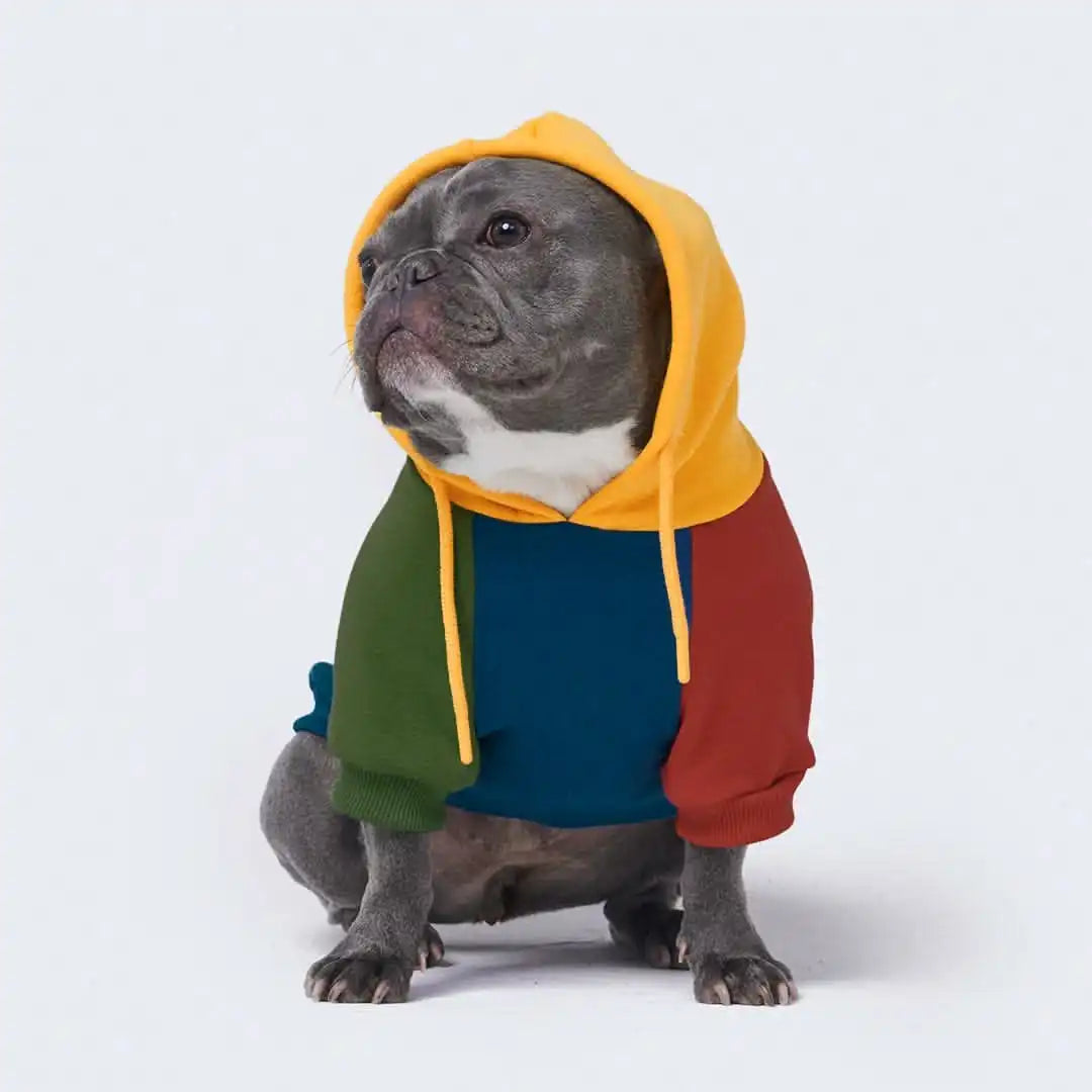 sparkpawsmaut.com