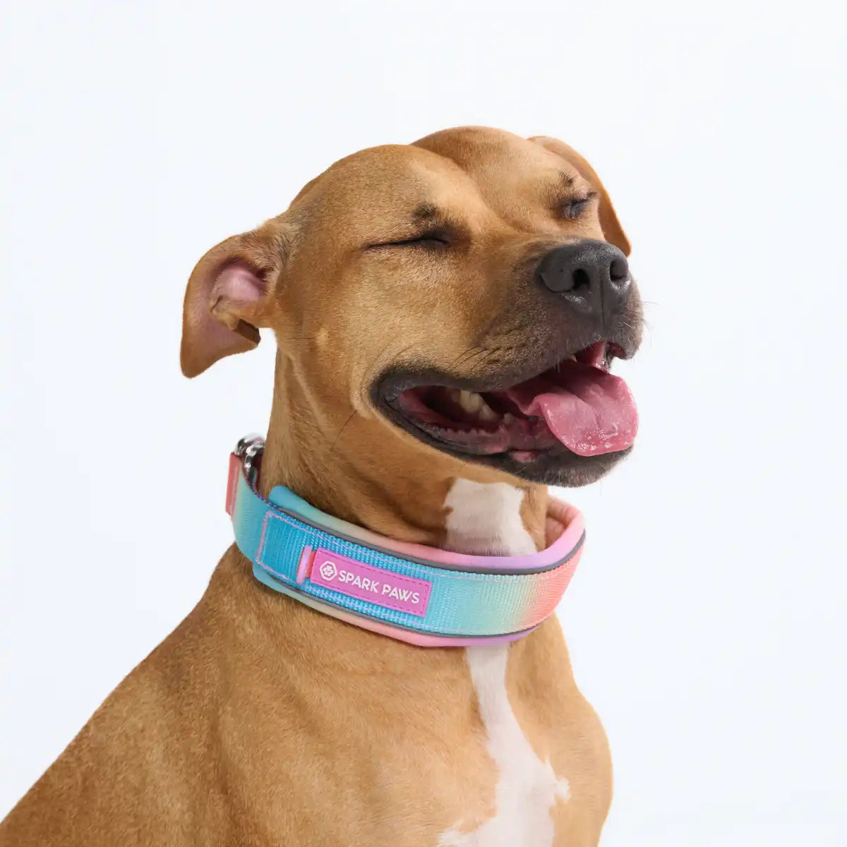 sparkpawsmaut.com
