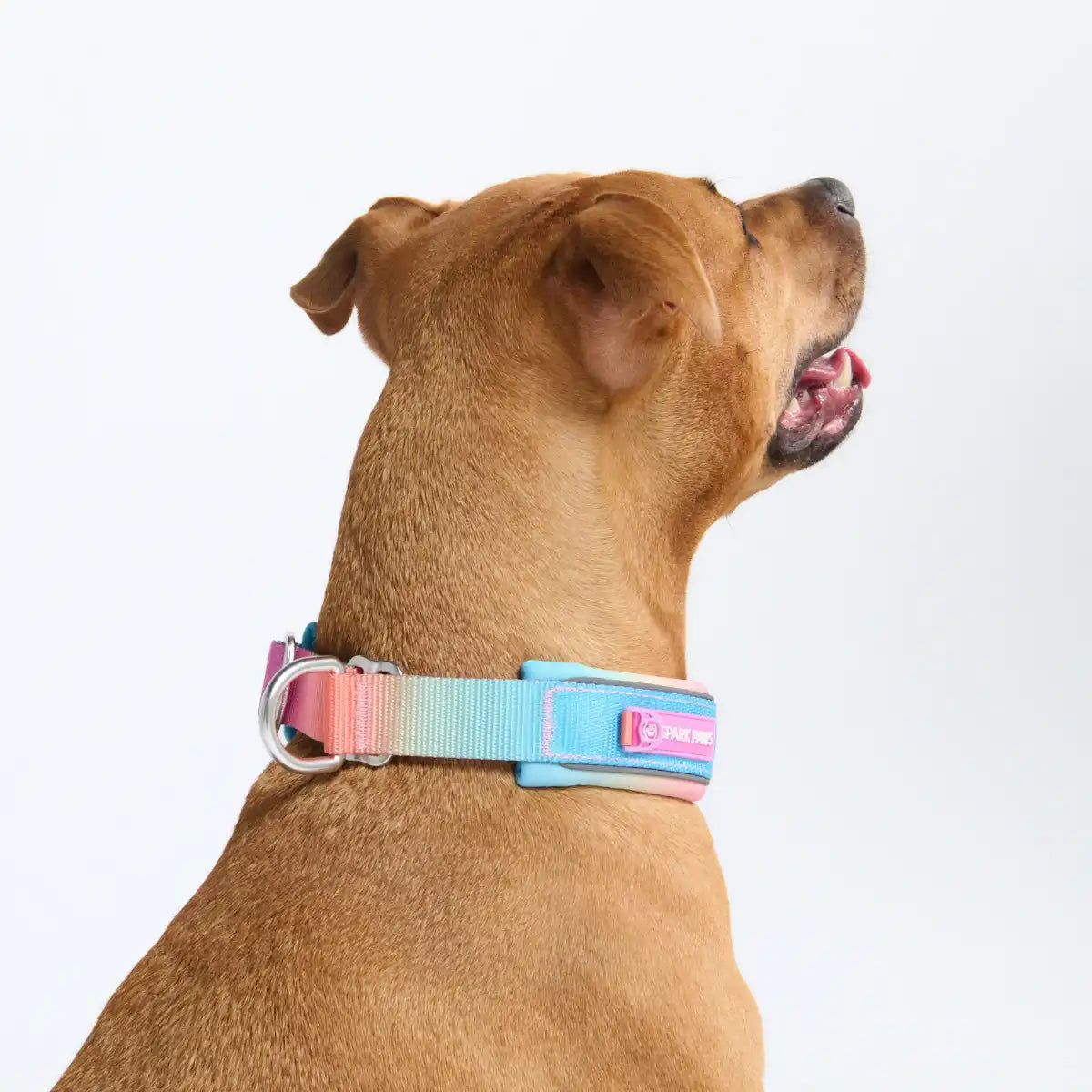 sparkpawsmaut.com
