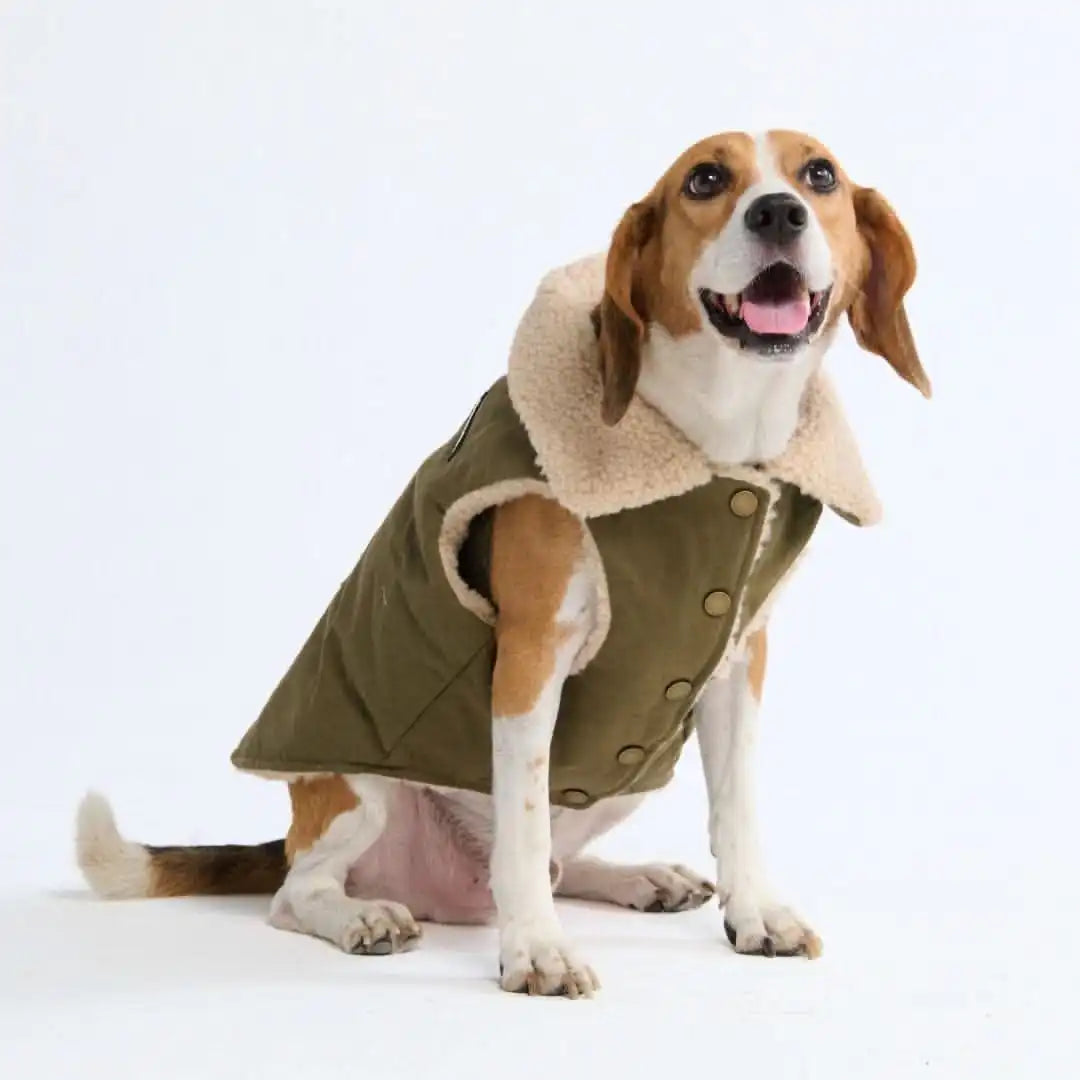 sparkpawsmaut.com