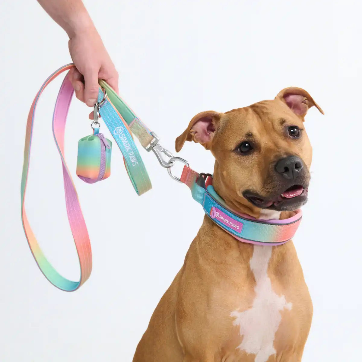 sparkpawsmaut.com