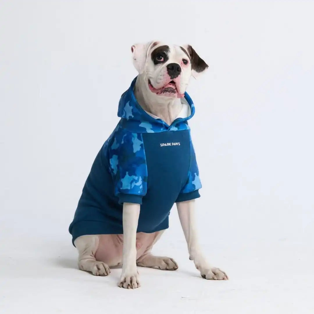 sparkpawsmaut.com