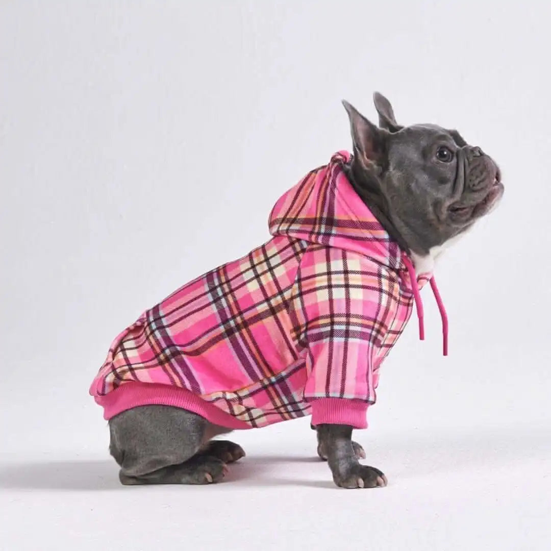 sparkpawsmaut.com