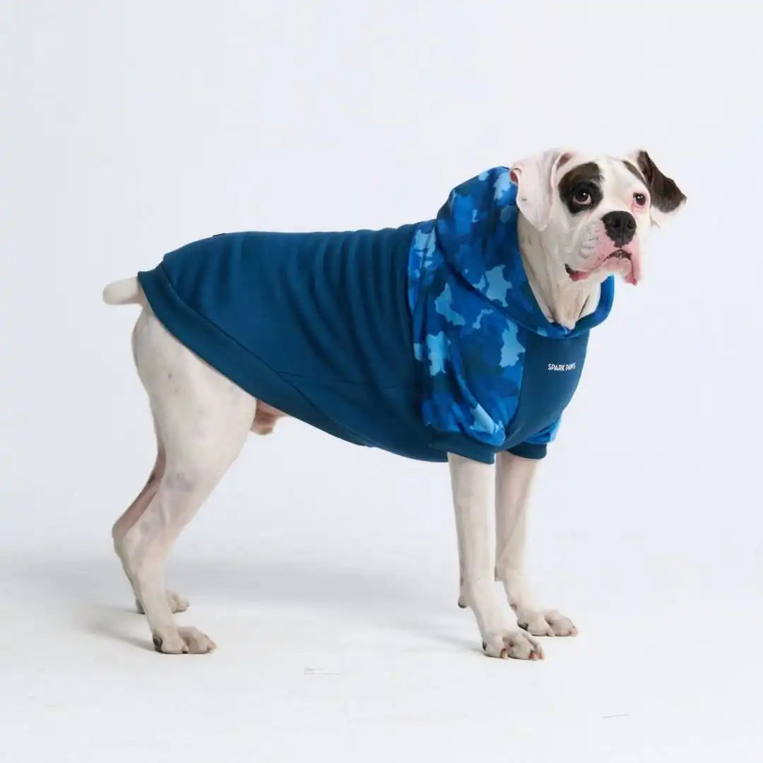 sparkpawsmaut.com