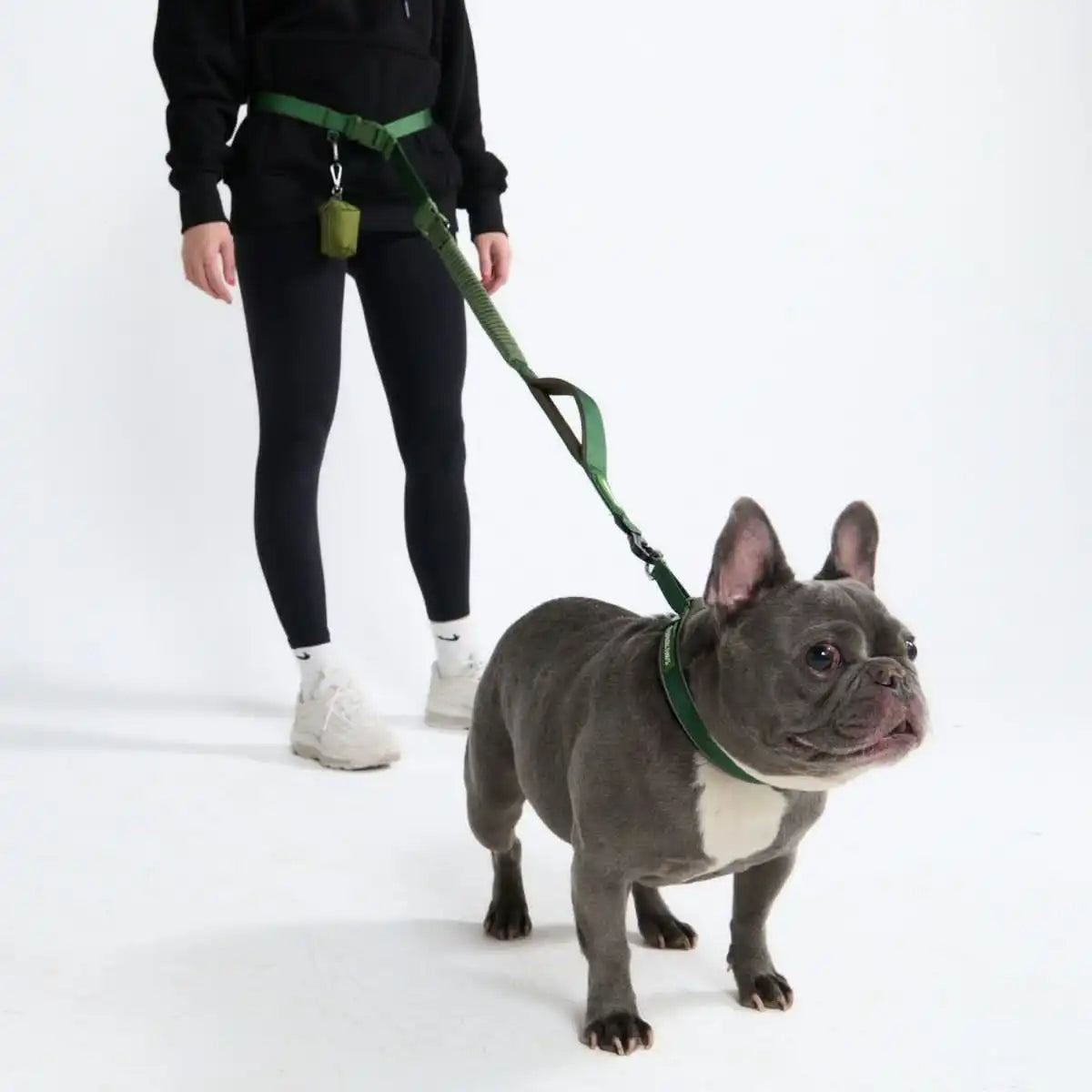 sparkpawsmaut.com