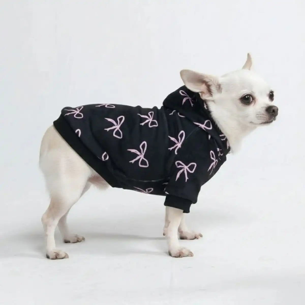 sparkpawsmaut.com