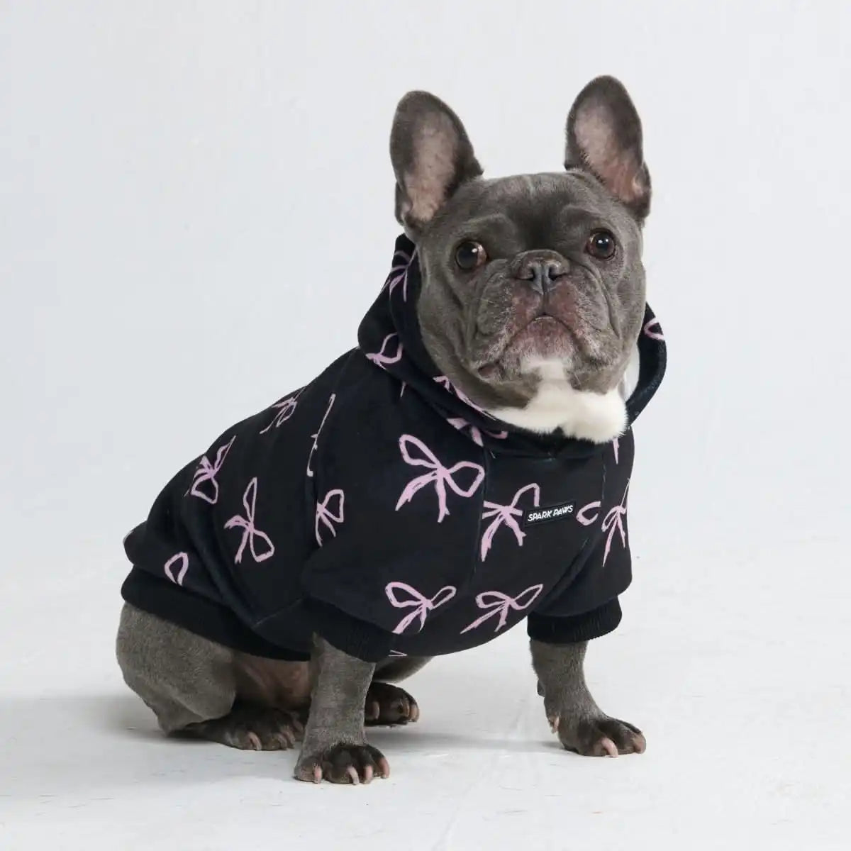 sparkpawsmaut.com