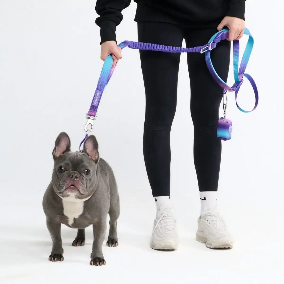 sparkpawsmaut.com