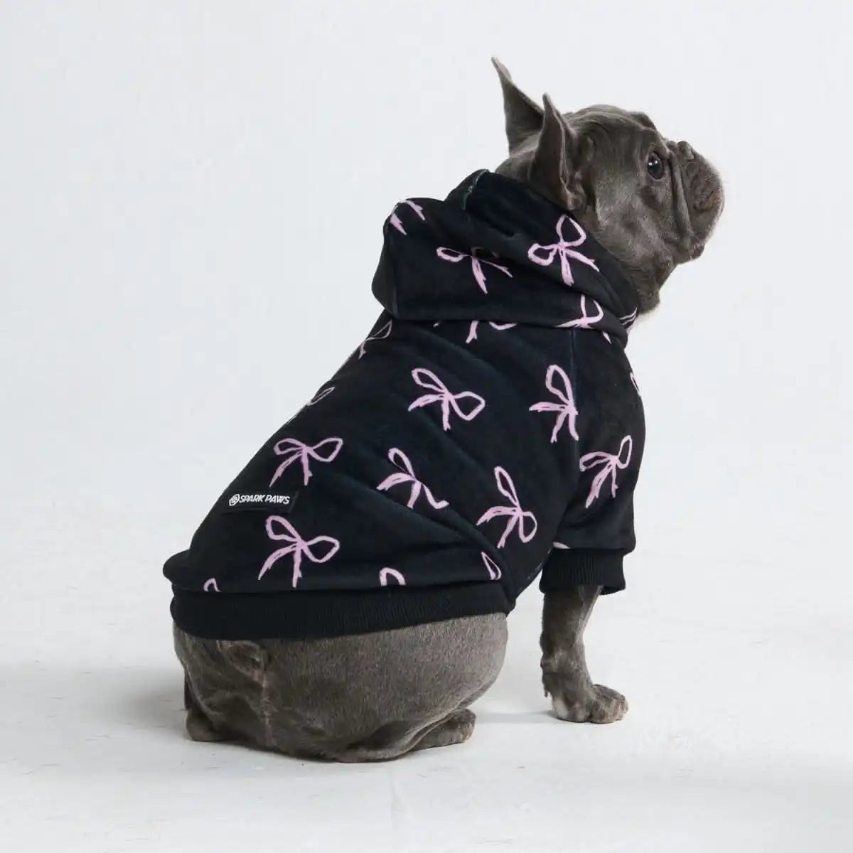 sparkpawsmaut.com