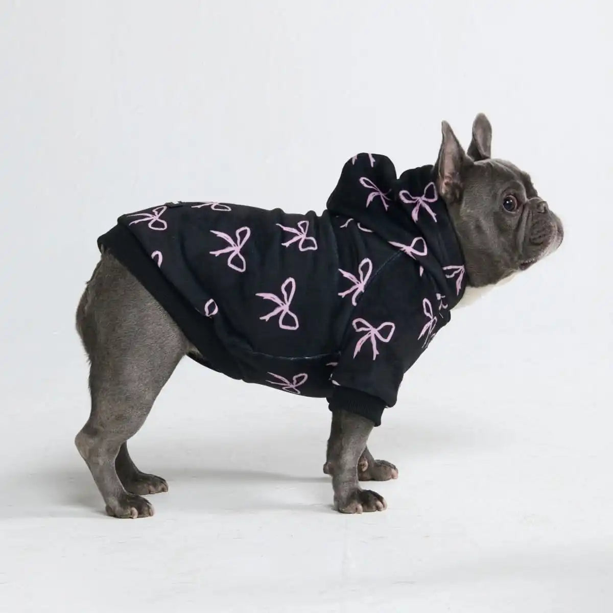 sparkpawsmaut.com