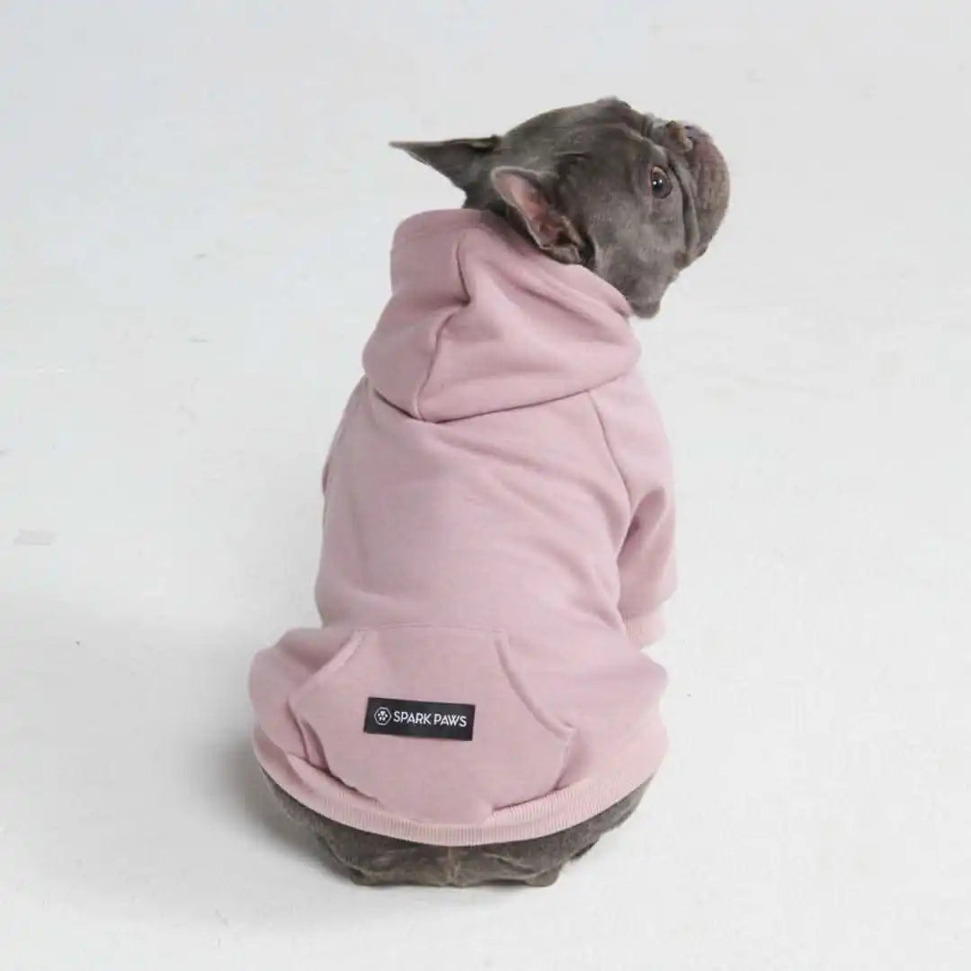 sparkpawsmaut.com