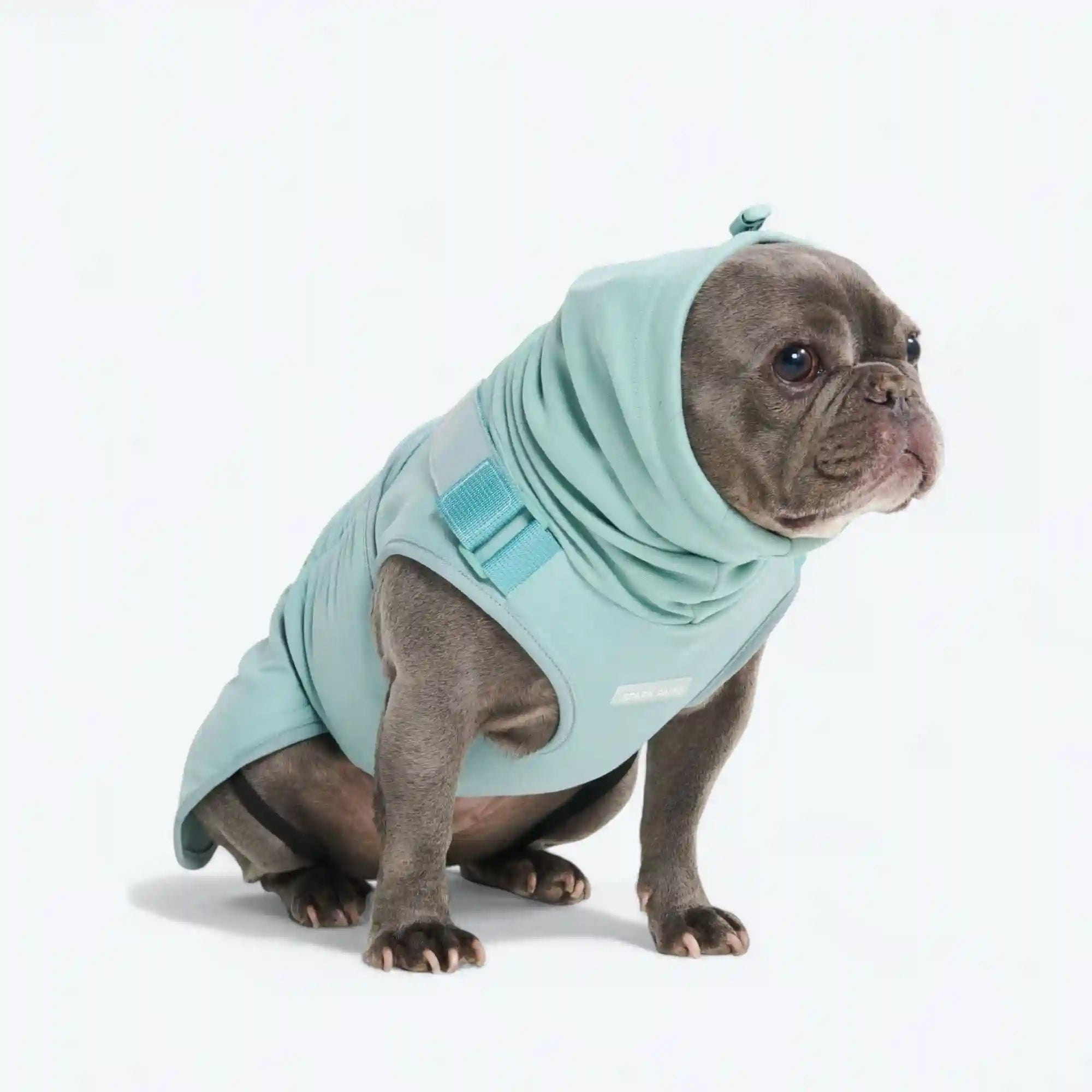 sparkpawsmaut.com