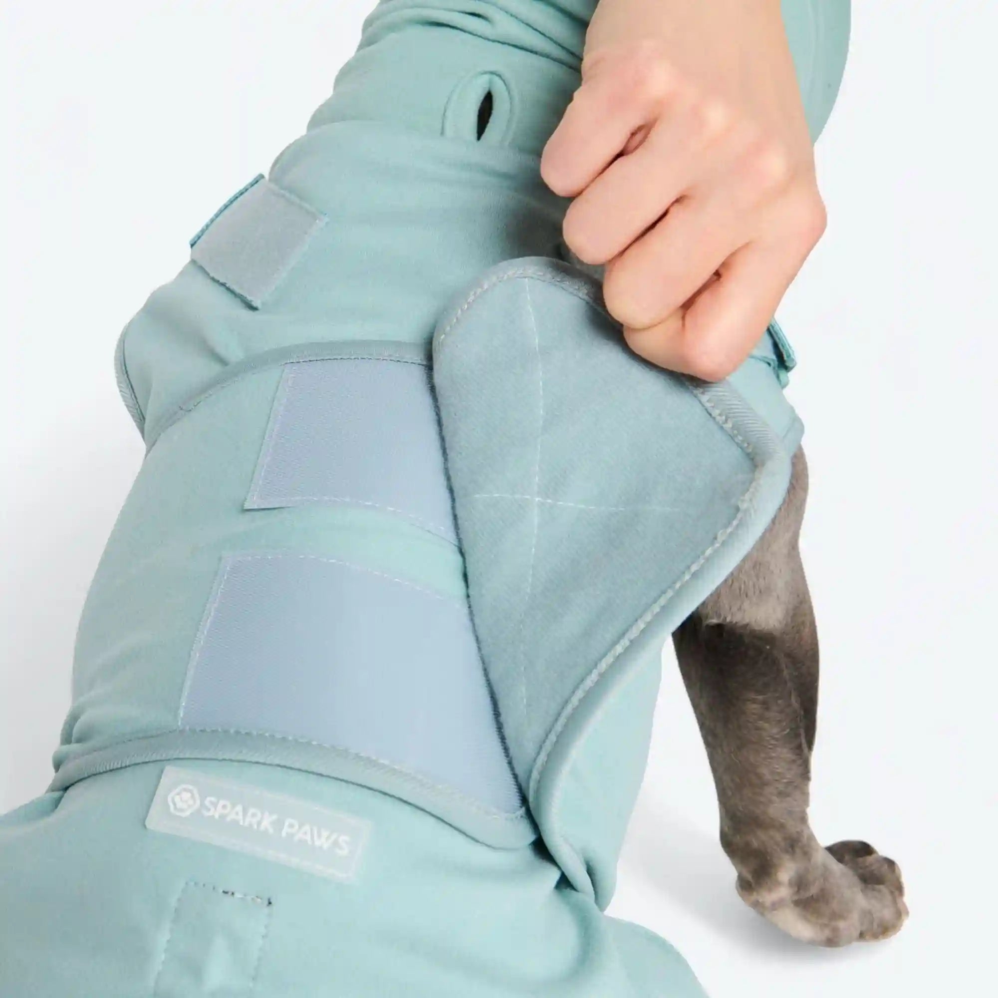 sparkpawsmaut.com