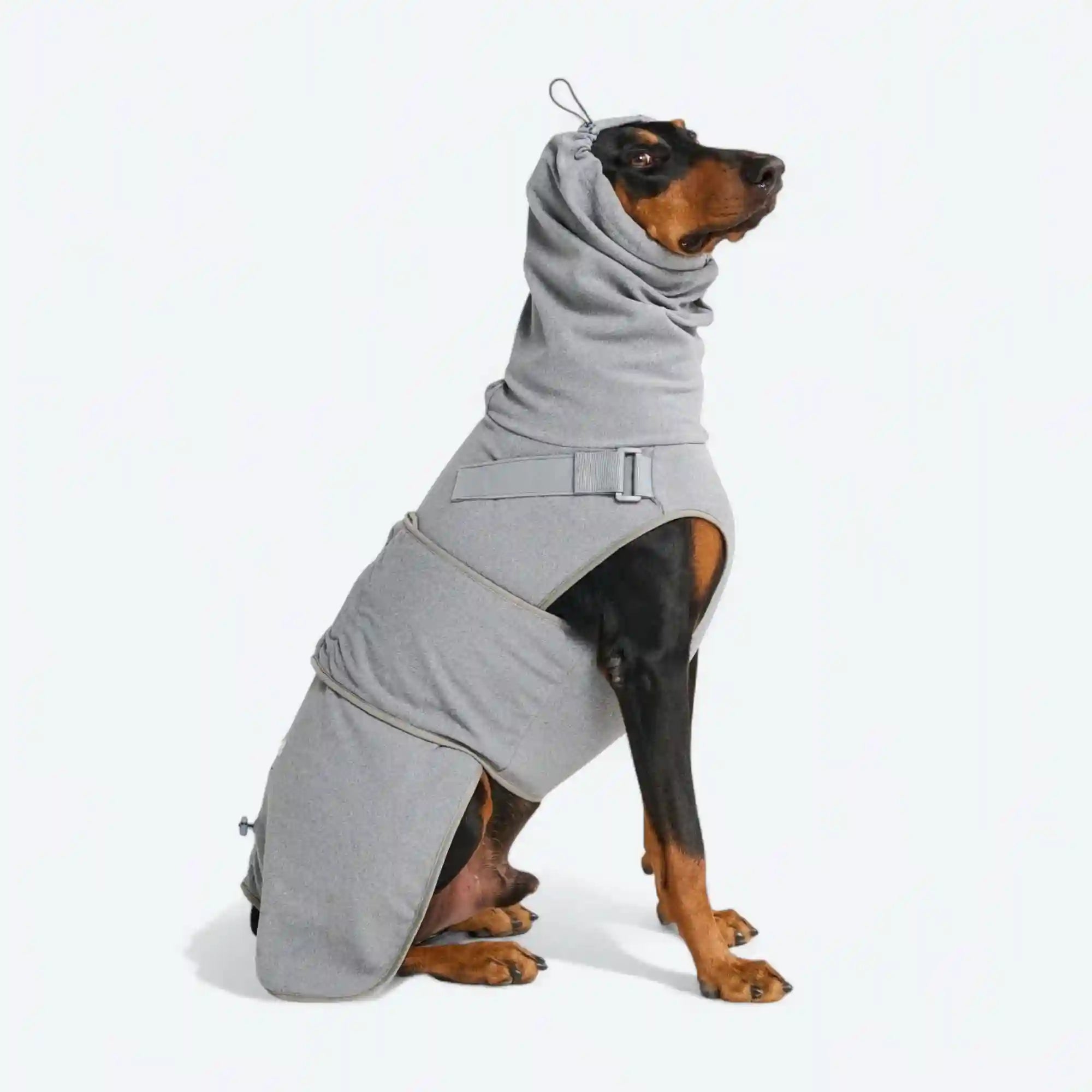 sparkpawsmaut.com