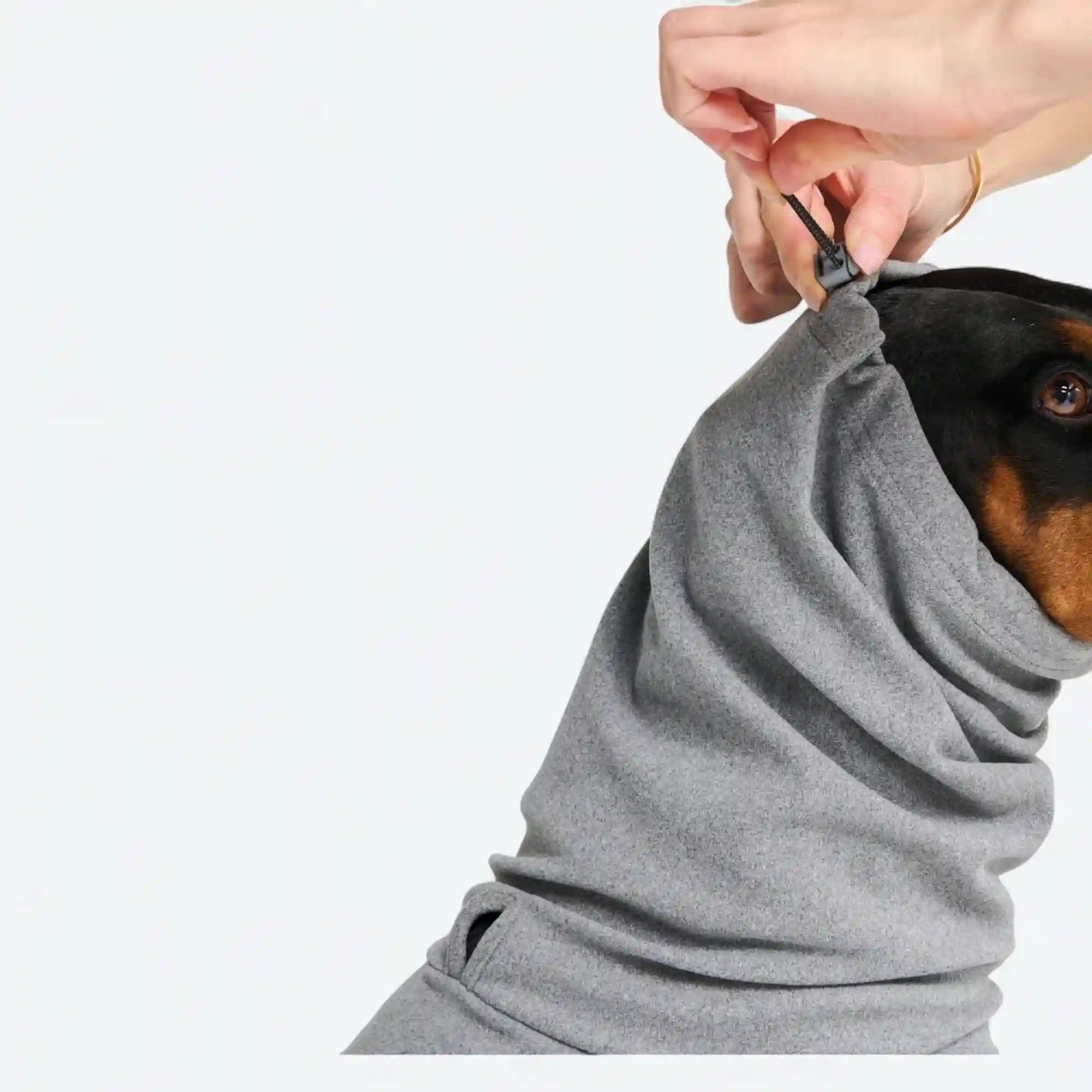 sparkpawsmaut.com