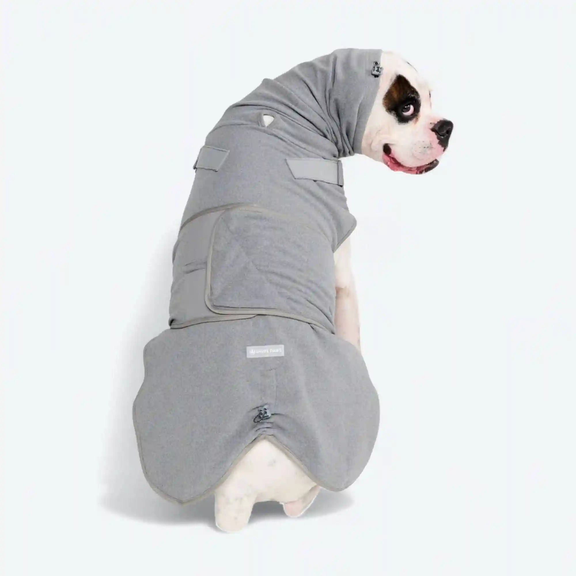 sparkpawsmaut.com