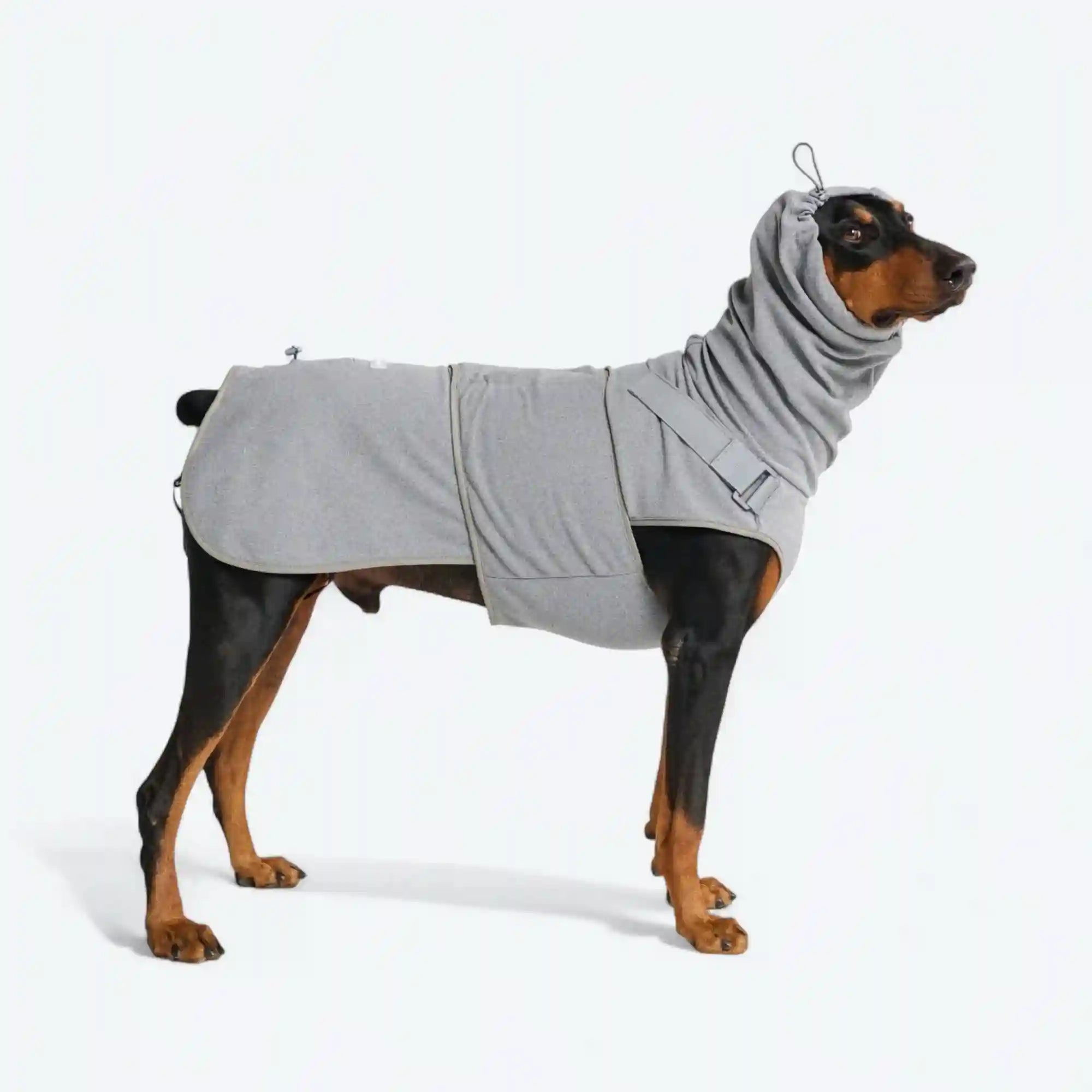 sparkpawsmaut.com