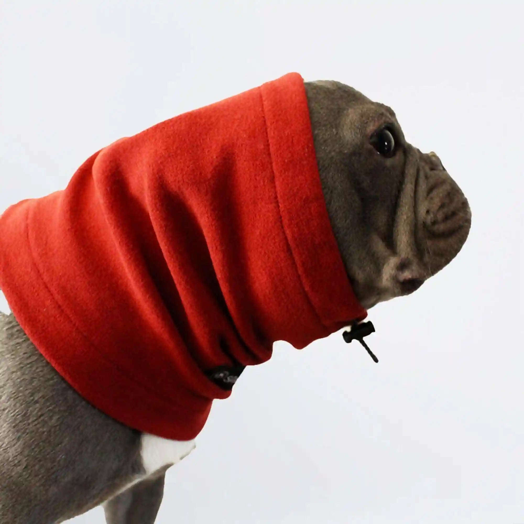 sparkpawsmaut.com