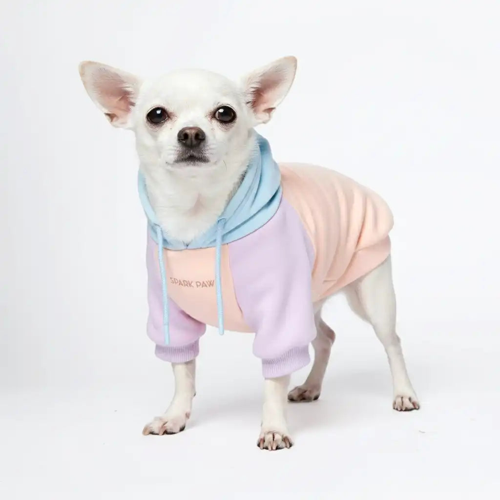 sparkpawsmaut.com