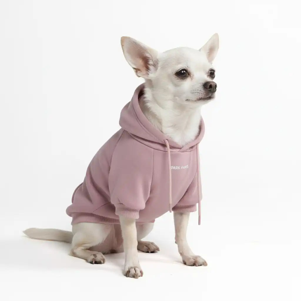 sparkpawsmaut.com