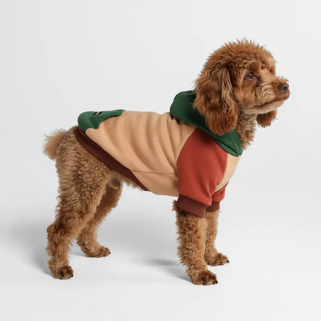 sparkpawsmaut.com