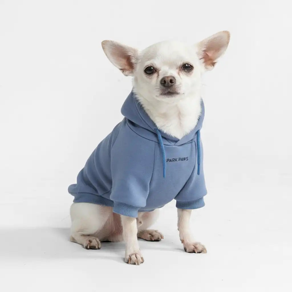 sparkpawsmaut.com