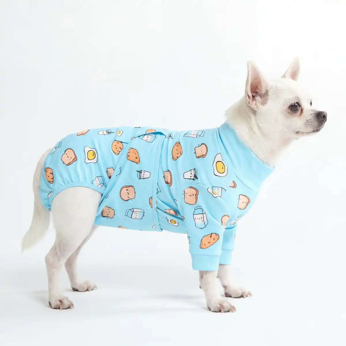 sparkpawsmaut.com