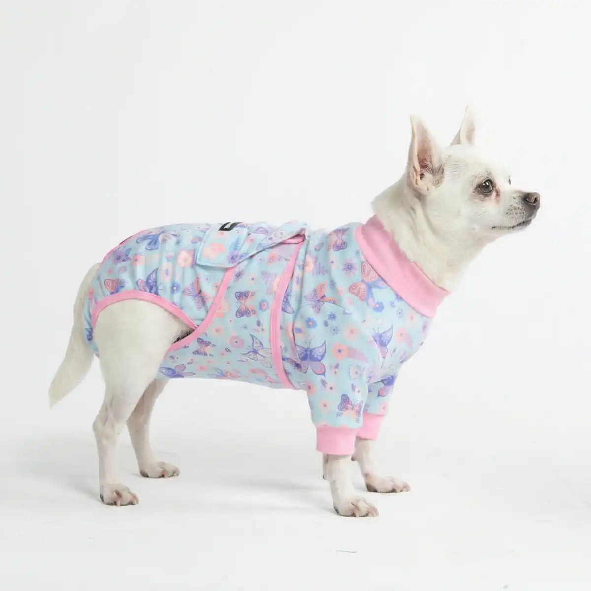 sparkpawsmaut.com