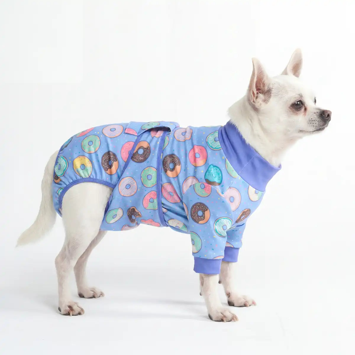 sparkpawsmaut.com