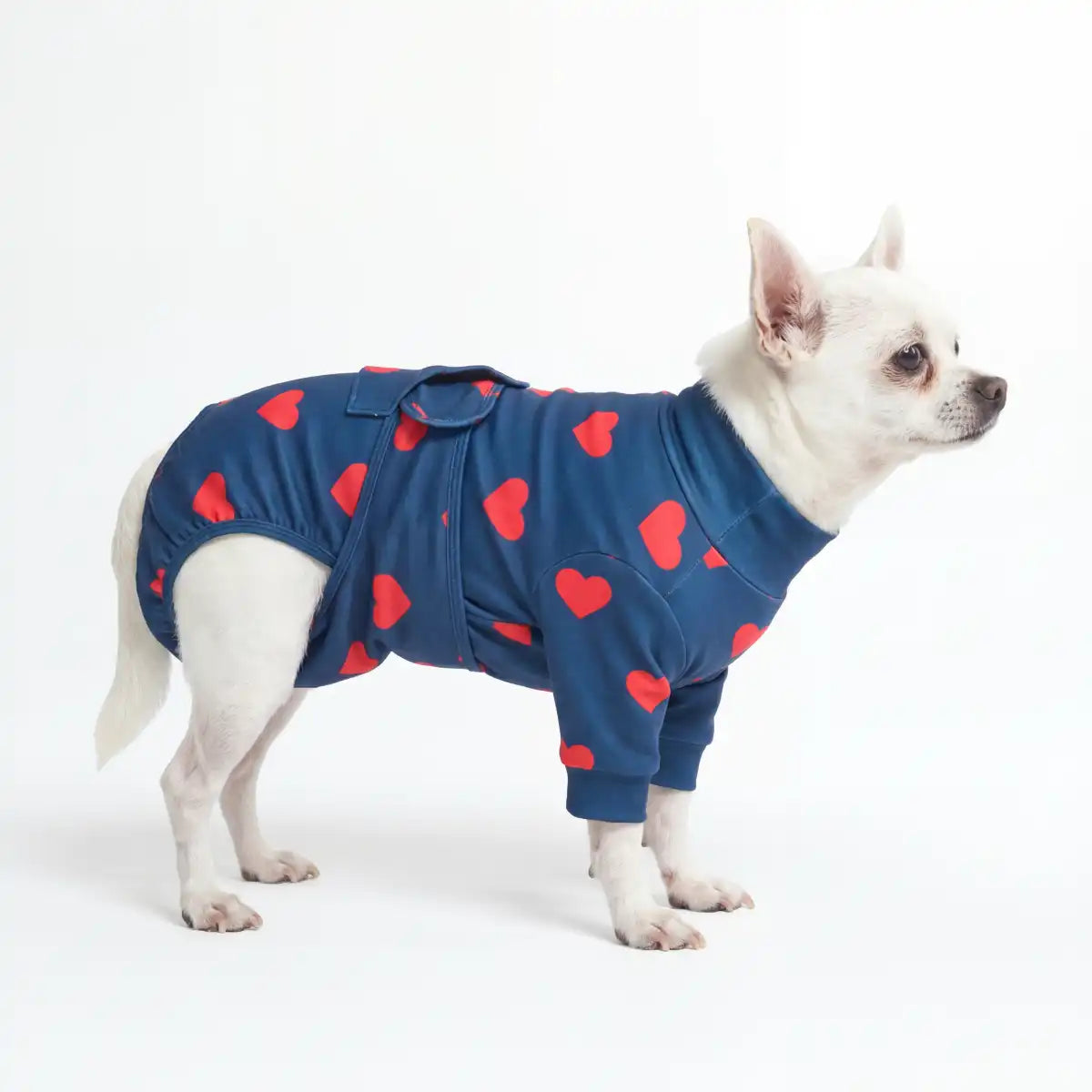 sparkpawsmaut.com