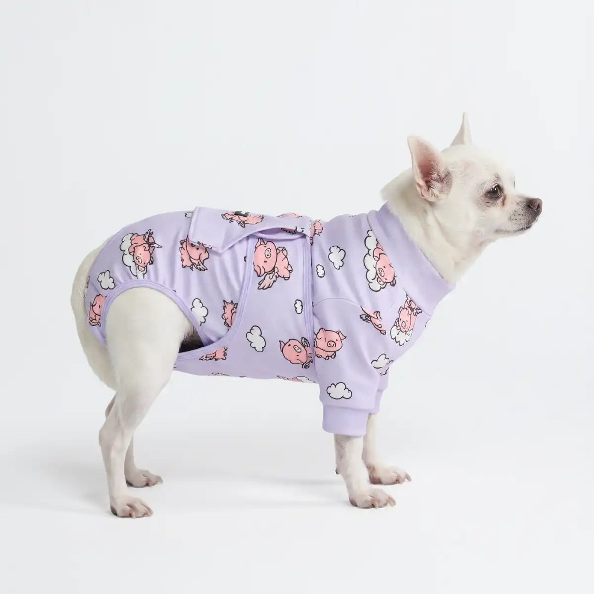 sparkpawsmaut.com