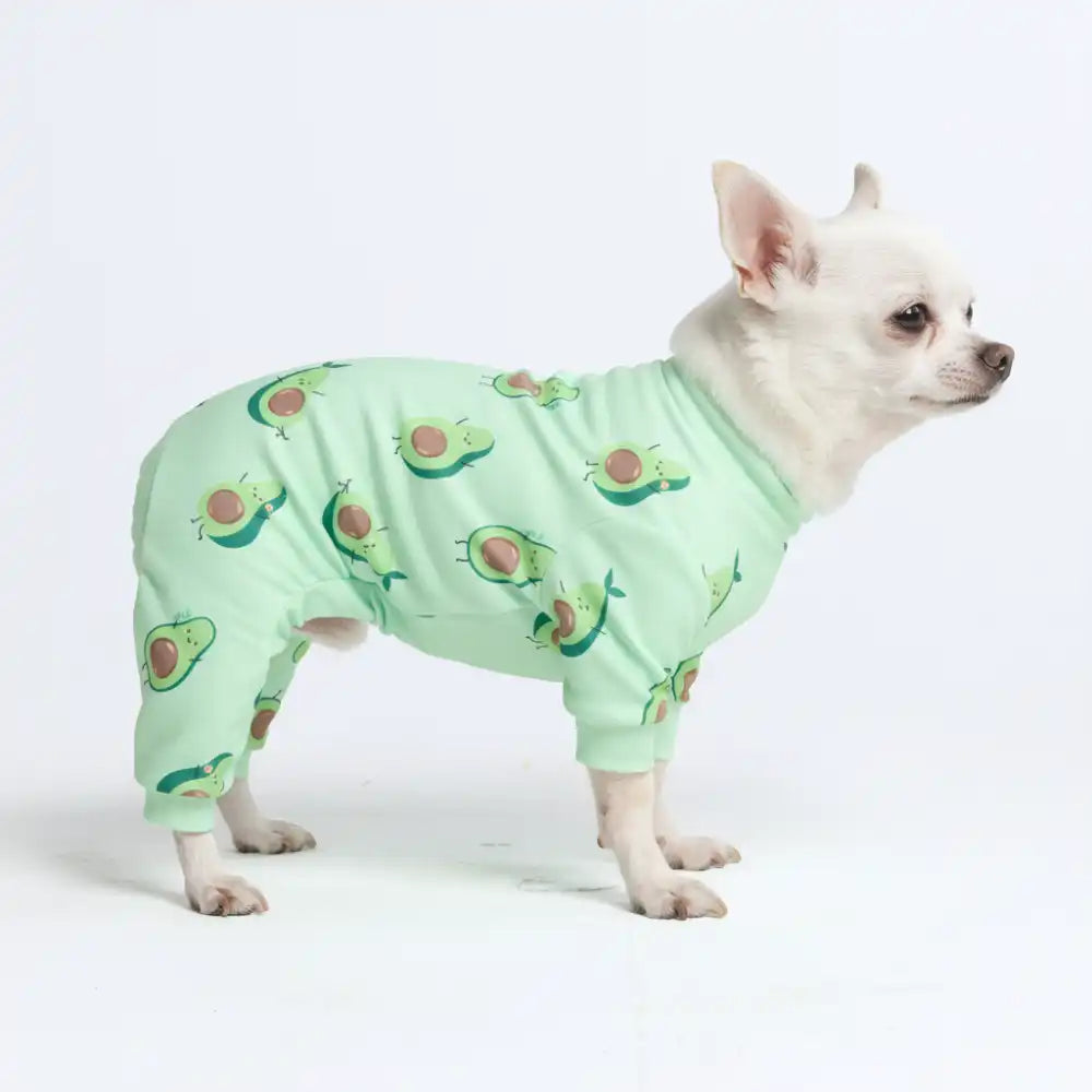 sparkpawsmaut.com
