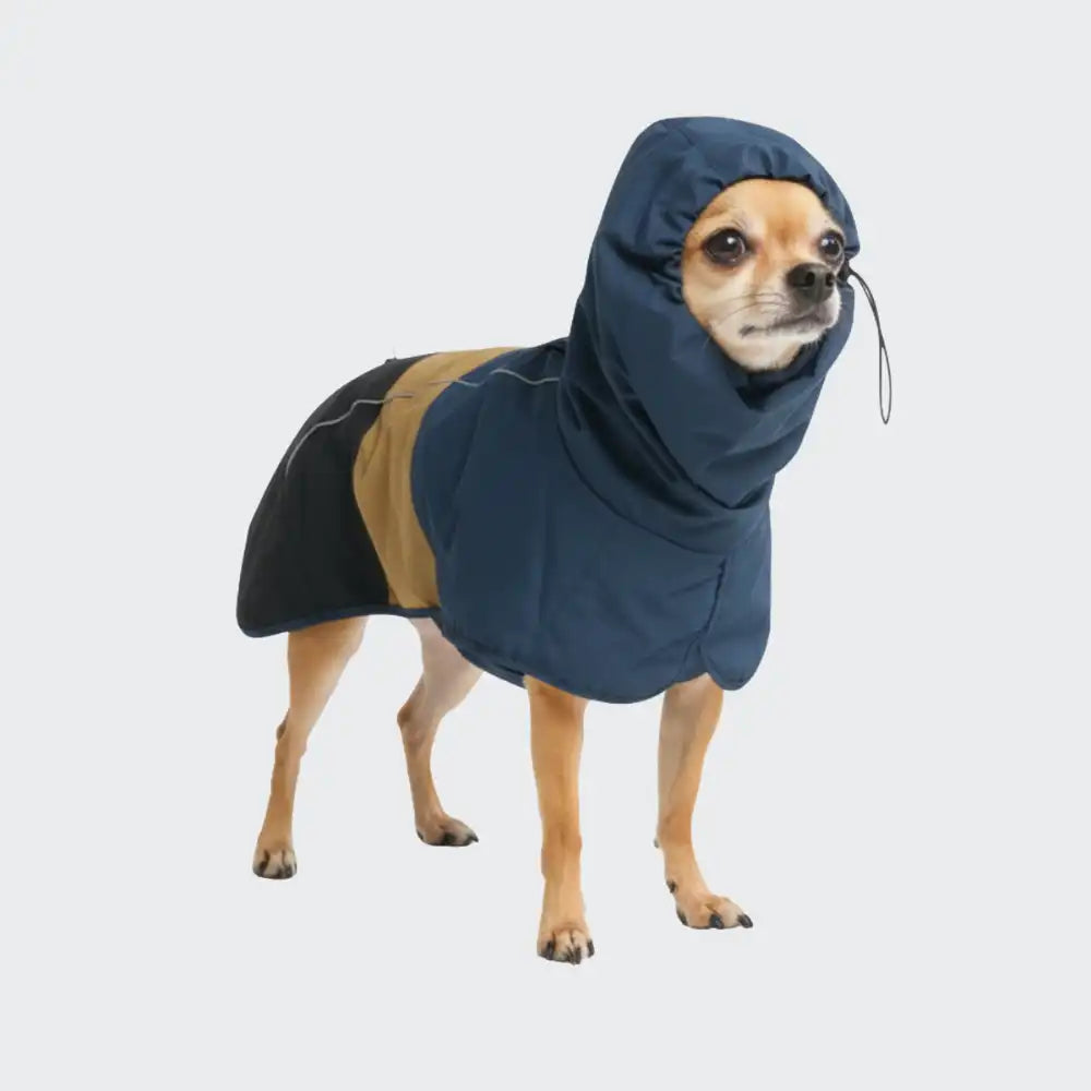 sparkpawsmaut.com