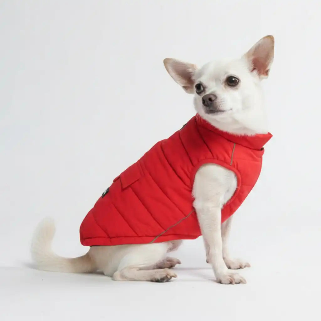 sparkpawsmaut.com