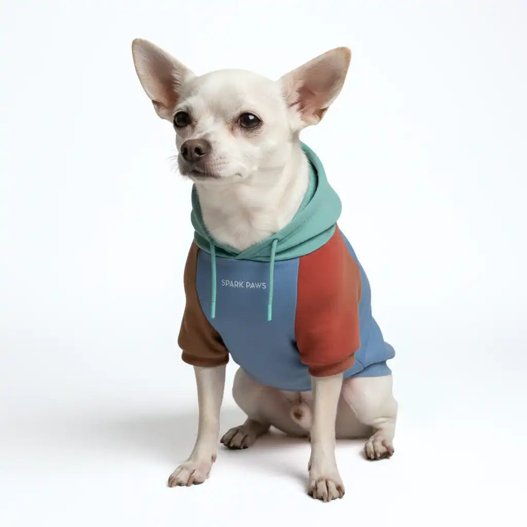 sparkpawsmaut.com