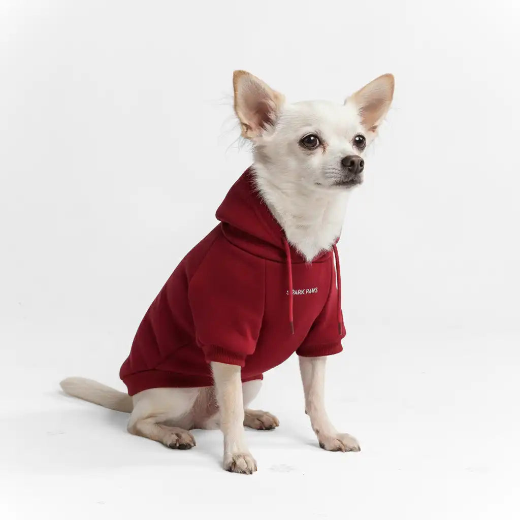 sparkpawsmaut.com