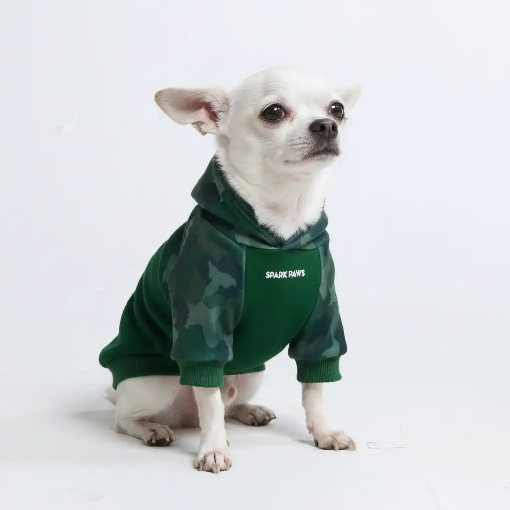 sparkpawsmaut.com