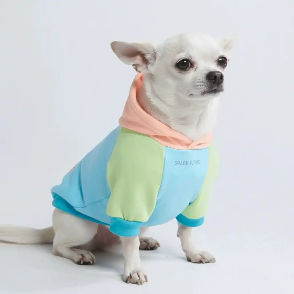 sparkpawsmaut.com