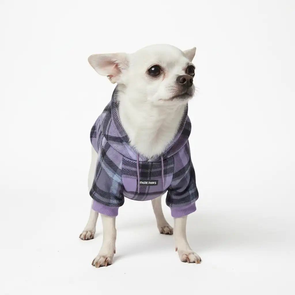 sparkpawsmaut.com