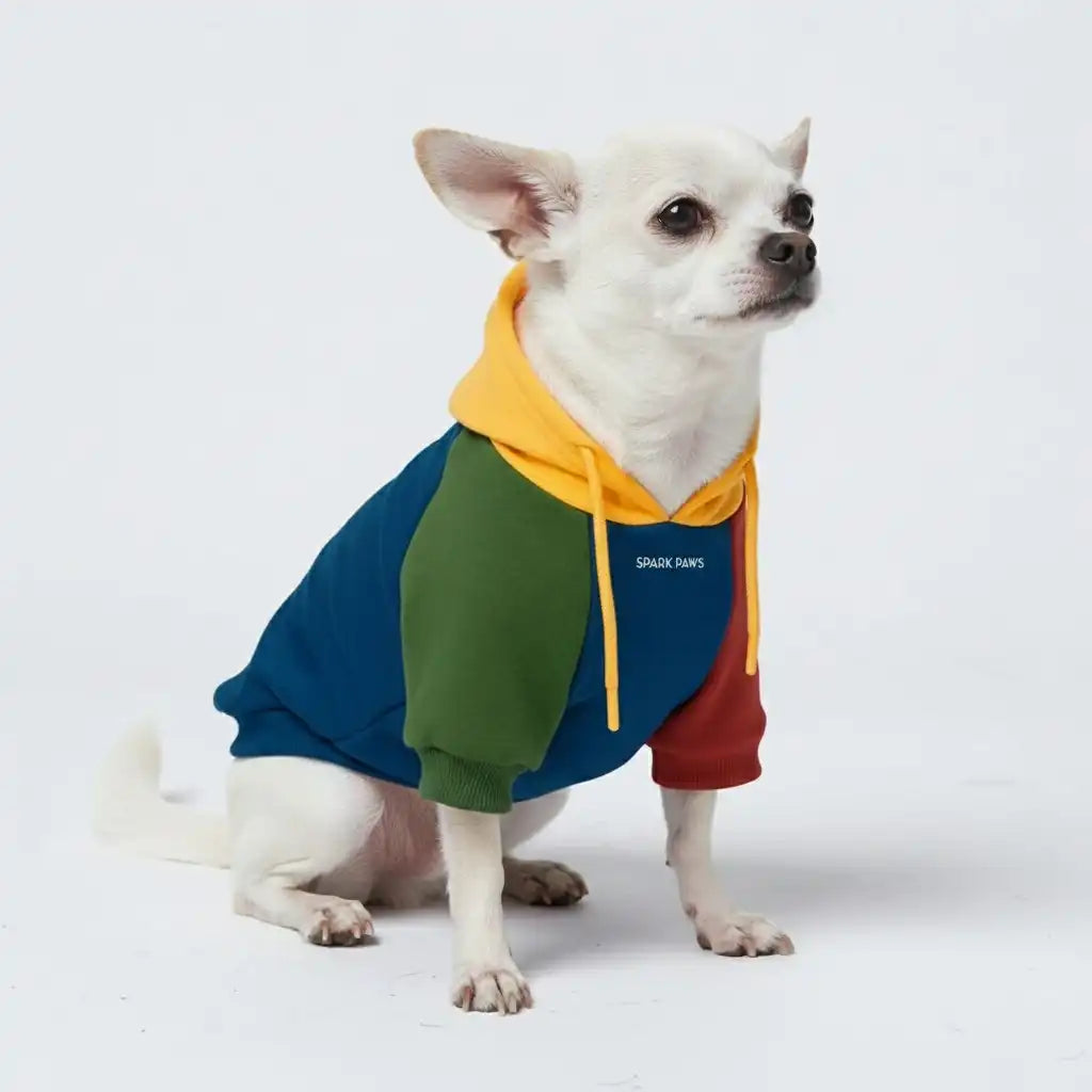 sparkpawsmaut.com