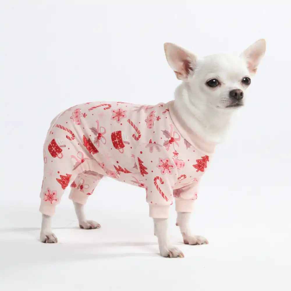 sparkpawsmaut.com